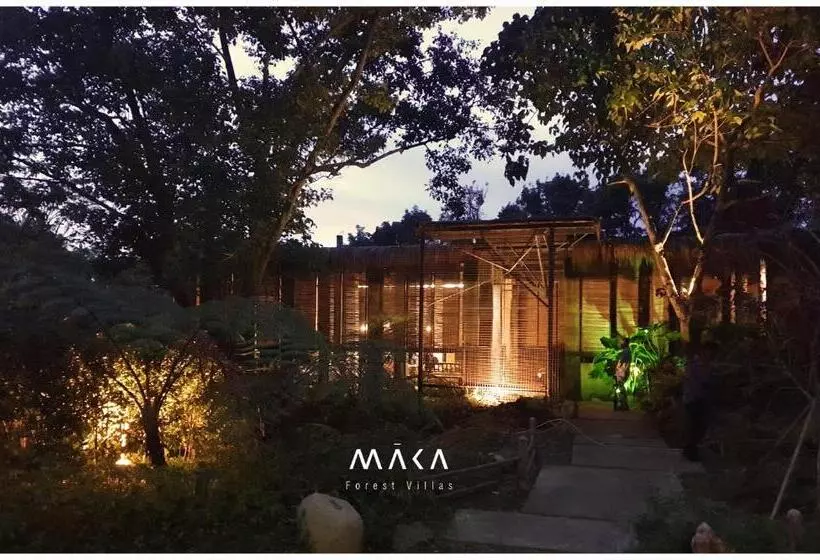 ベッドアンドブレックファースト Maka Kalinaw 6 Wabi Sabi Room, Forest And Garden View