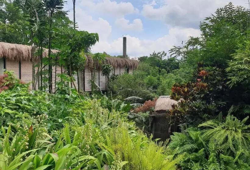 ベッドアンドブレックファースト Maka Kalinaw 6 Wabi Sabi Room, Forest And Garden View