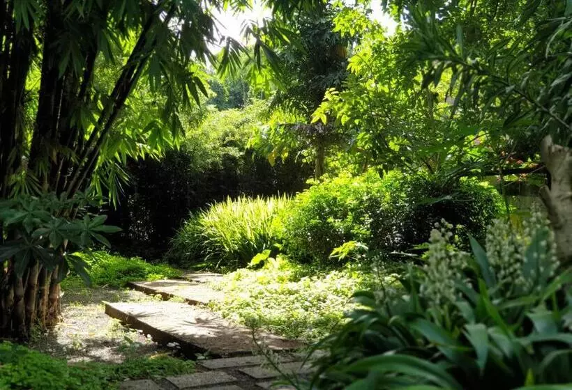 ベッドアンドブレックファースト Maka Kalinaw 6 Wabi Sabi Room, Forest And Garden View