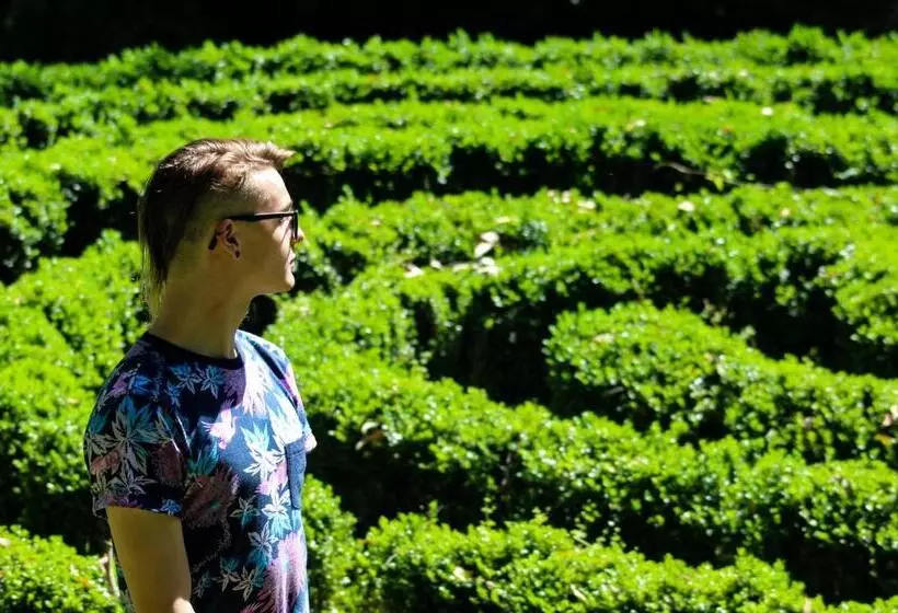 ベッドアンドブレックファースト Tomah Retreat   Studio Relax With Fireplace