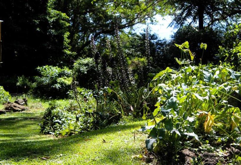 住宿加早餐 Tomah Retreat Studio Relax With Fireplace