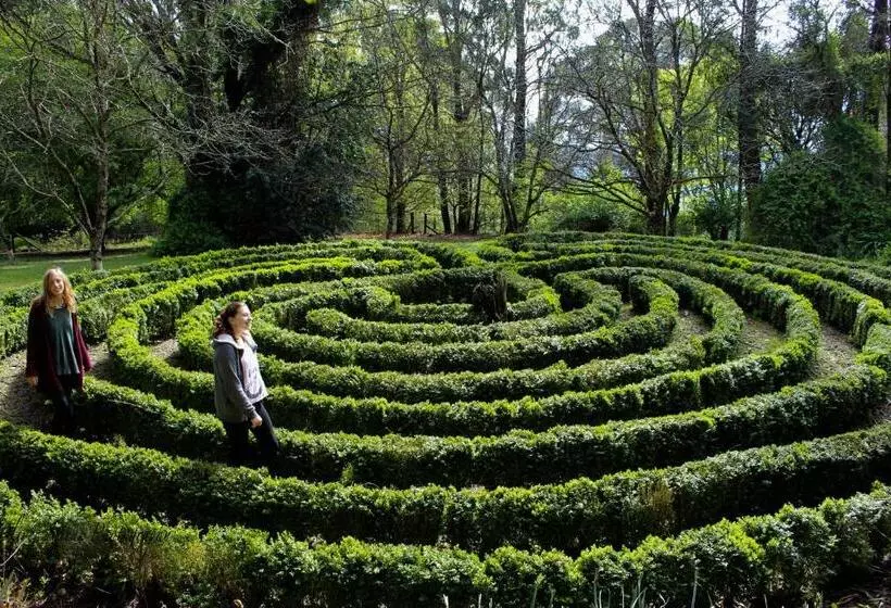 ベッドアンドブレックファースト Tomah Retreat   Studio Relax With Fireplace