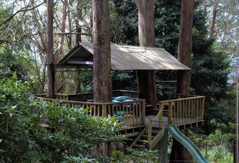 ベッドアンドブレックファースト Tomah Retreat   Studio Relax With Fireplace