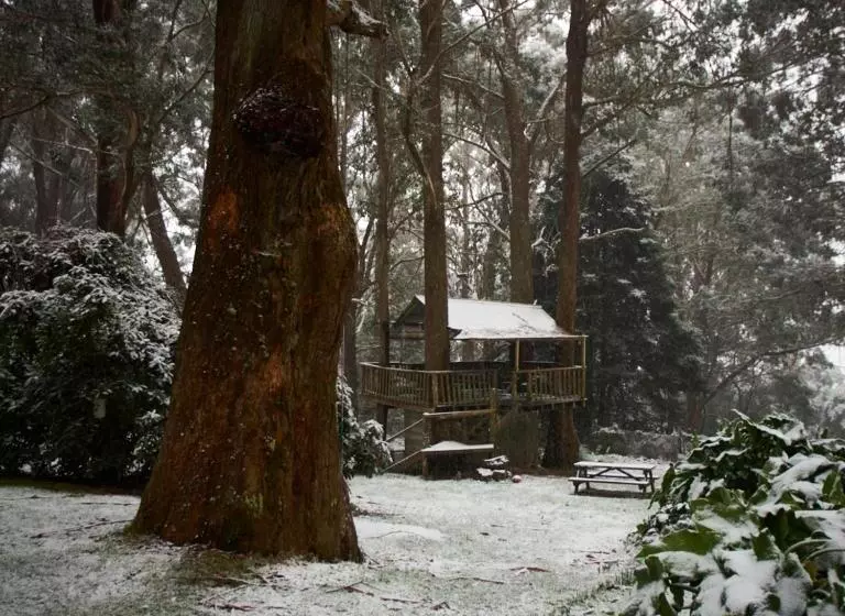 ベッドアンドブレックファースト Tomah Retreat   Studio Relax With Fireplace