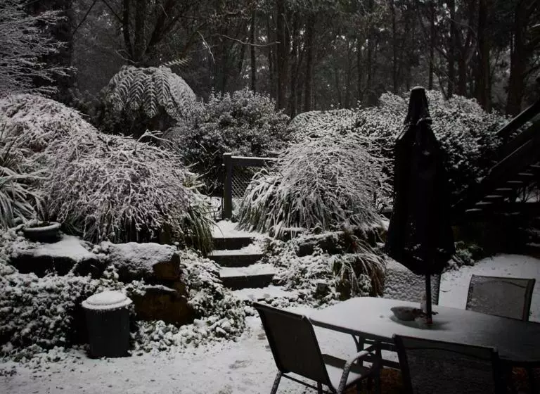 ベッドアンドブレックファースト Tomah Retreat   Studio Relax With Fireplace