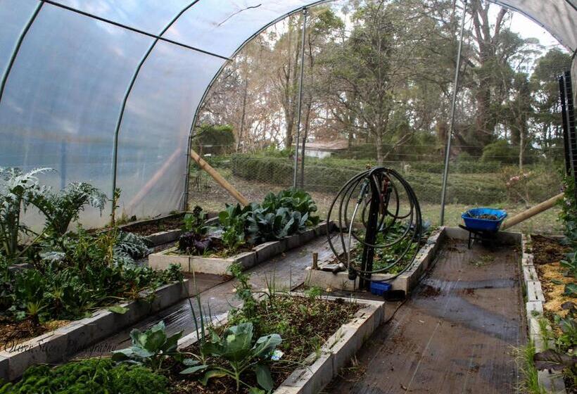 住宿加早餐 Tomah Retreat Studio Relax With Fireplace