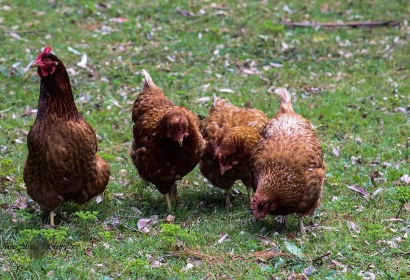 住宿加早餐 Tomah Retreat Studio Relax With Fireplace