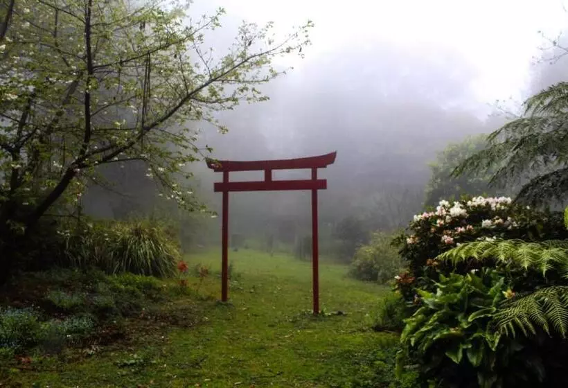 ベッドアンドブレックファースト Tomah Retreat   Studio Relax With Fireplace