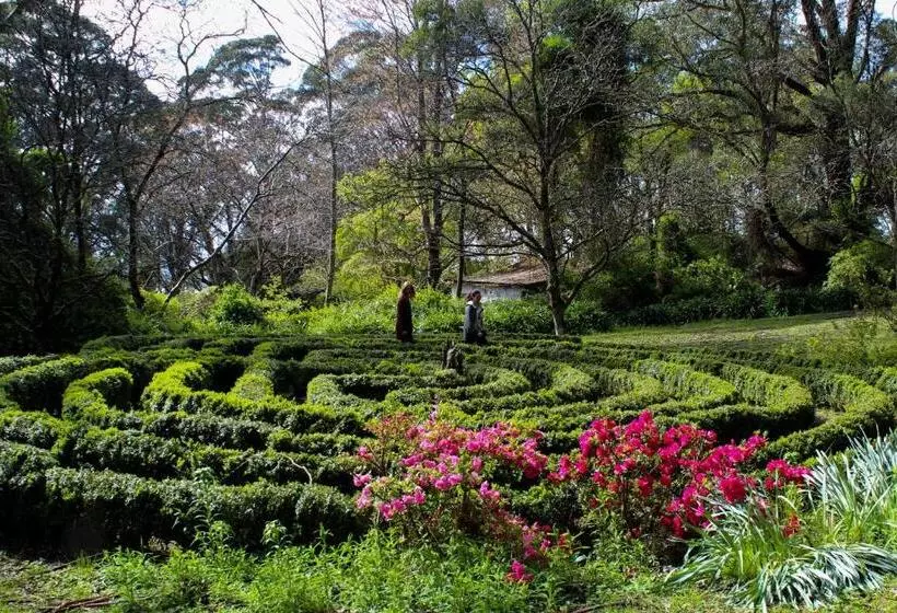 ベッドアンドブレックファースト Tomah Retreat   Studio Relax With Fireplace