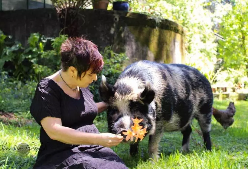 ベッドアンドブレックファースト Tomah Retreat   Studio Relax With Fireplace