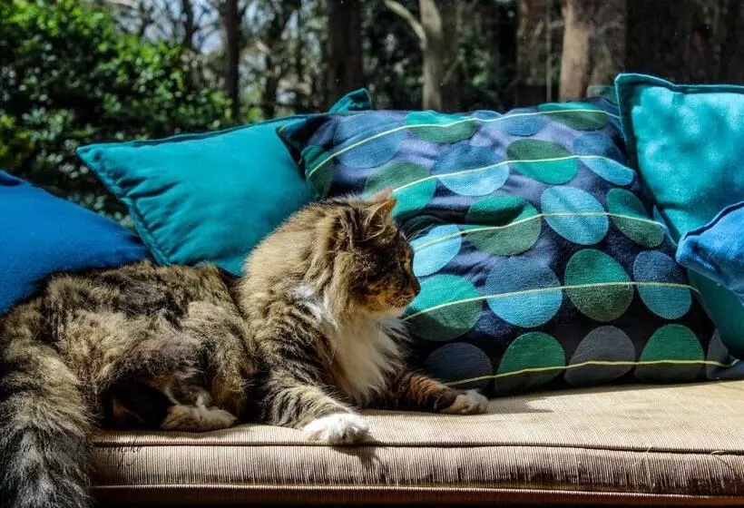 ベッドアンドブレックファースト Tomah Retreat   Studio Relax With Fireplace