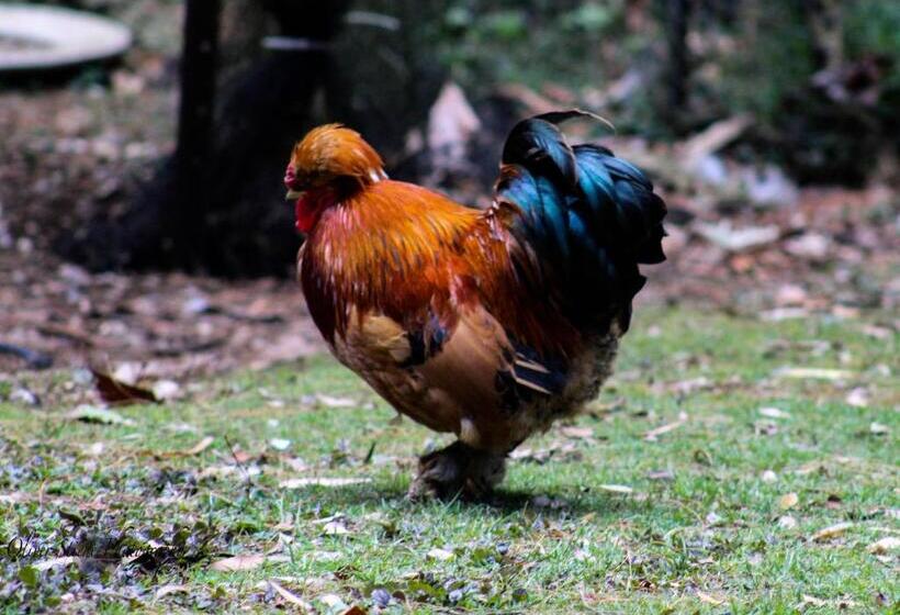 住宿加早餐 Tomah Retreat Studio Relax With Fireplace