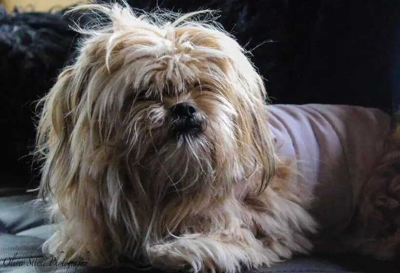 ベッドアンドブレックファースト Tomah Retreat   Studio Relax With Fireplace