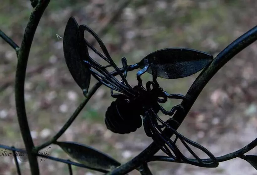 ベッドアンドブレックファースト Tomah Retreat   Studio Relax With Fireplace