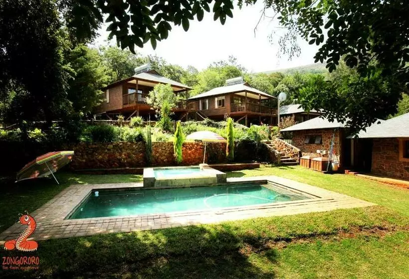ホテル Zongororo Mountain Lodge