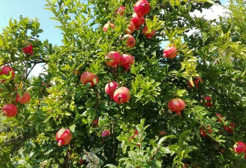 Il Melograno B&b With Private Bathrooms