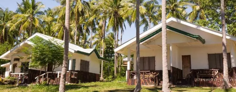Majatalo Camotes Eden
