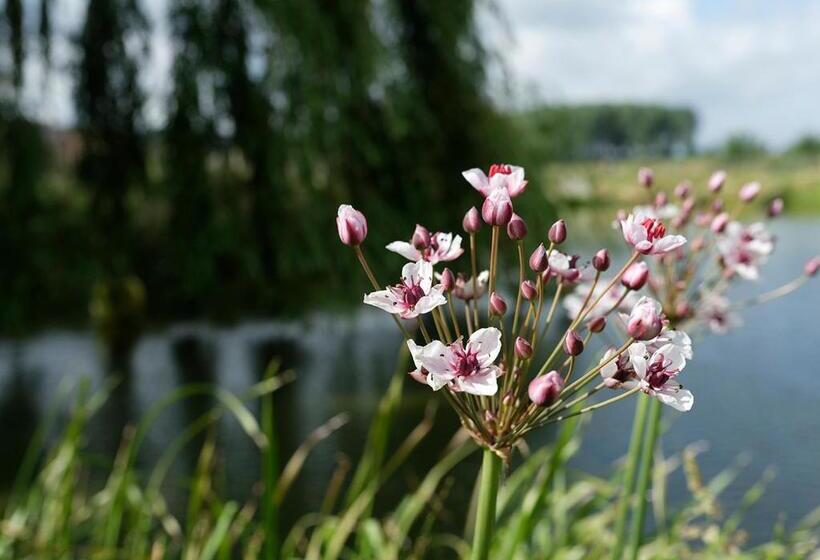 פנסיון Gîte De L étang