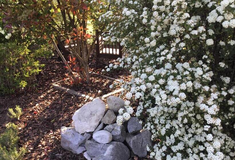 Pensjonat Suite Couture