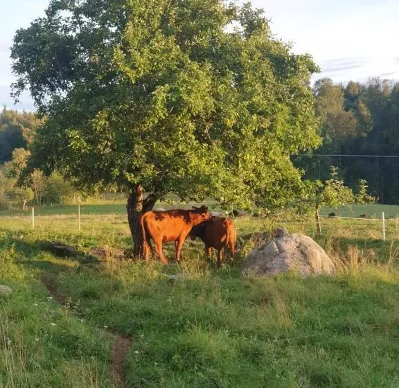 ベッドアンドブレックファースト Gramersgården