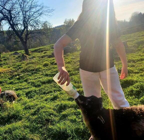 צימר Gramersgården