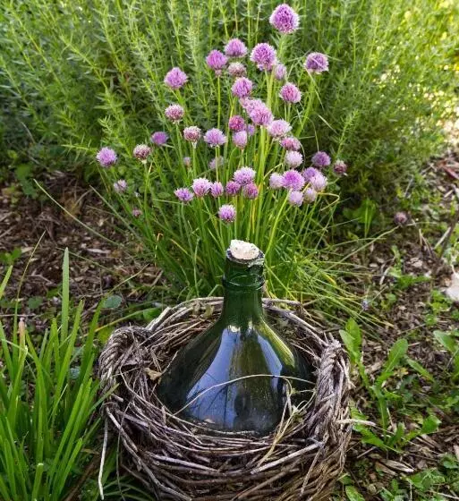 ベッドアンドブレックファースト La Belle Rivière