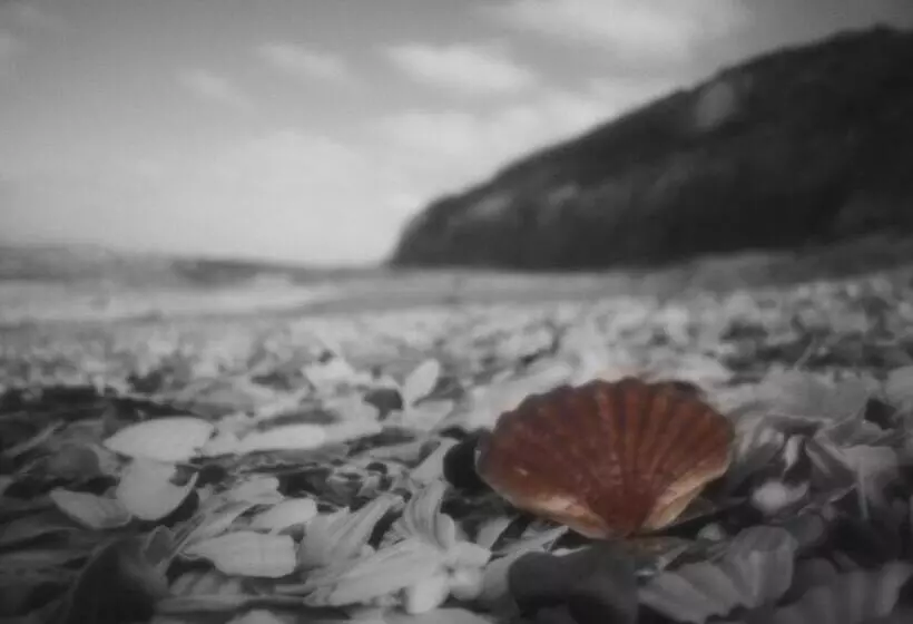 Aamiaismajoitus (B&B) Le Doux Refuge