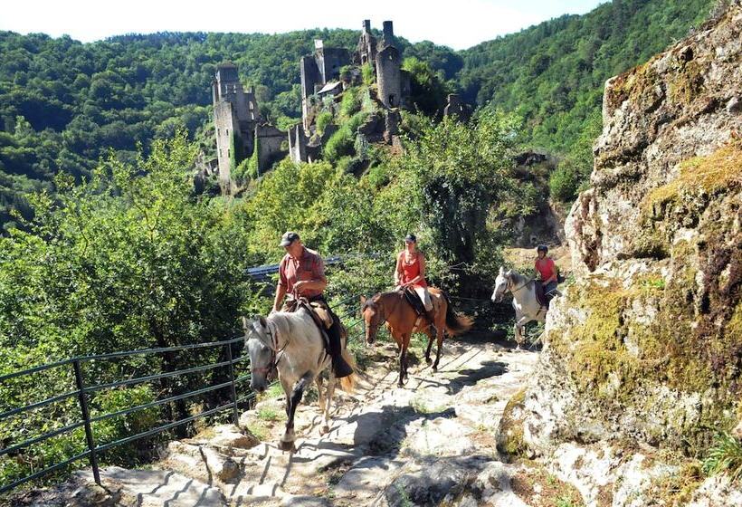 Bed and Breakfast Maison D Hôtes Les Jardins Saint Eloi