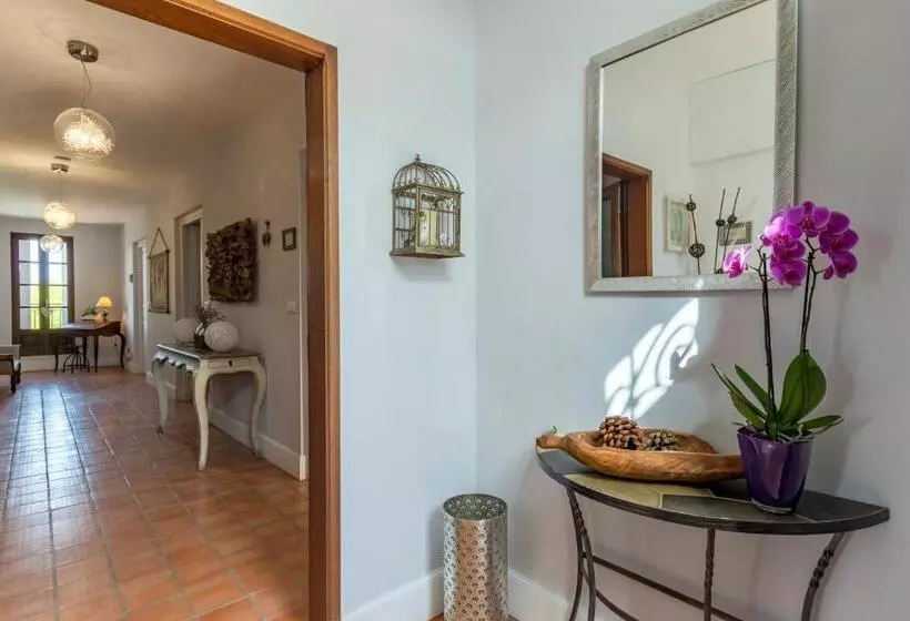 Aamiaismajoitus (B&B) Maison Dix Chambres D Hôtes Et Espace Spa Bien être