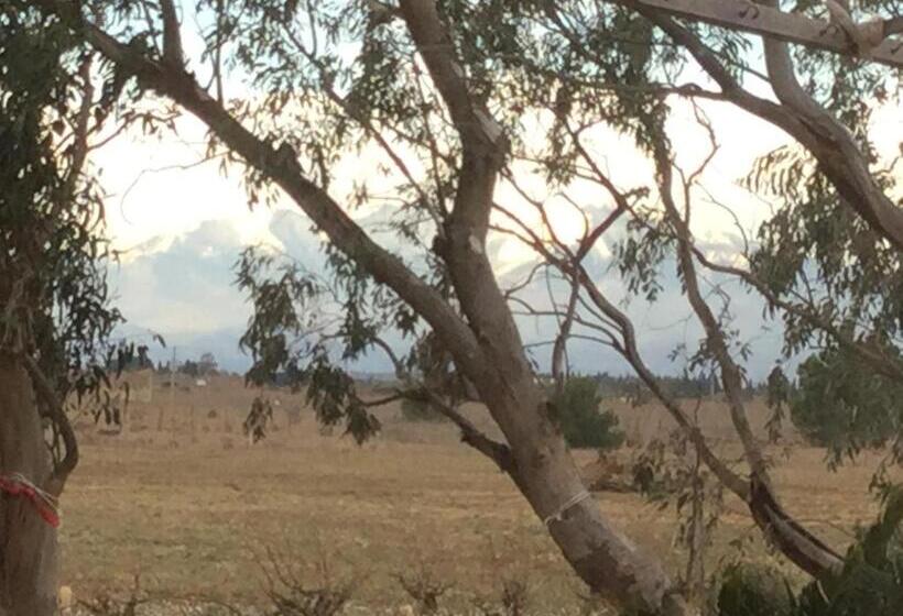 住宿加早餐 Mas Soleil Et Vignes