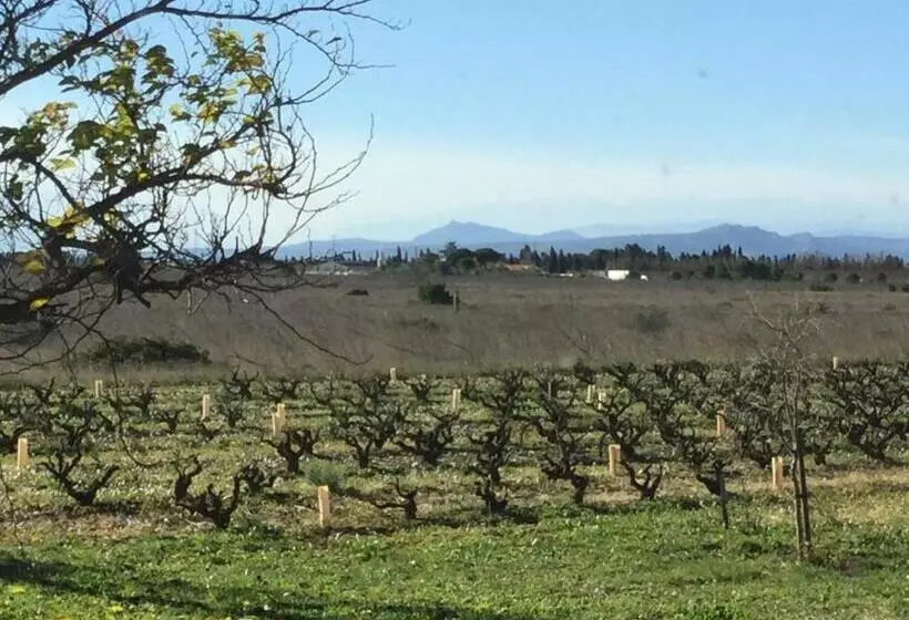 Aamiaismajoitus (B&B) Mas Soleil Et Vignes