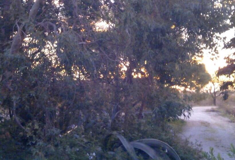 住宿加早餐 Mas Soleil Et Vignes