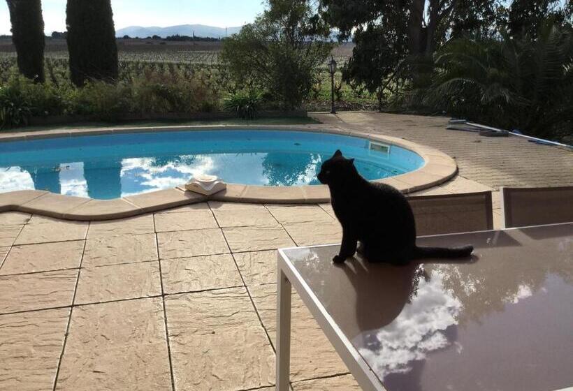 住宿加早餐 Mas Soleil Et Vignes