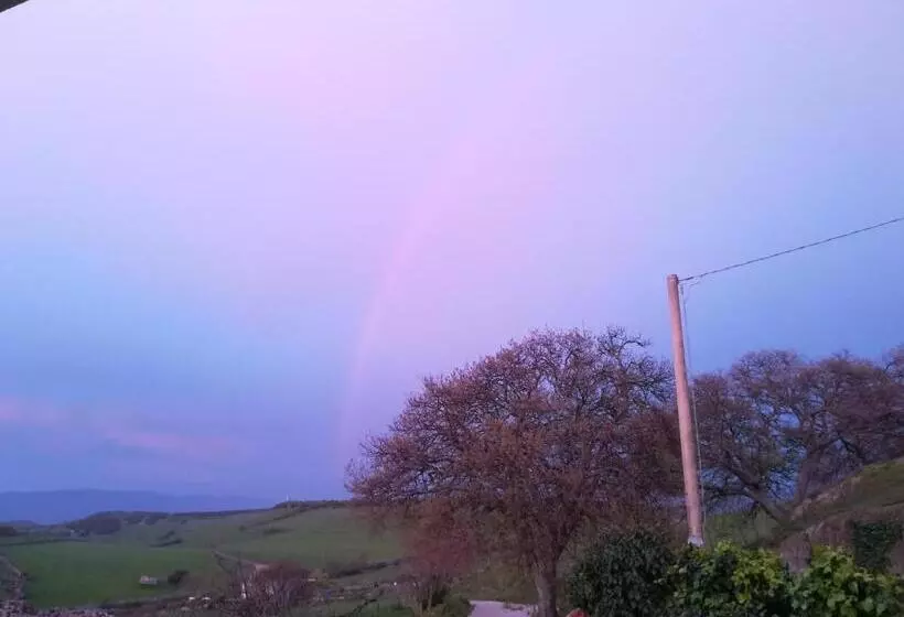 Bed And Breakfast Sas Damas