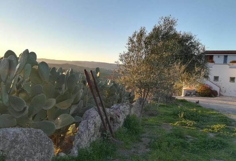 Bed And Breakfast Sas Damas