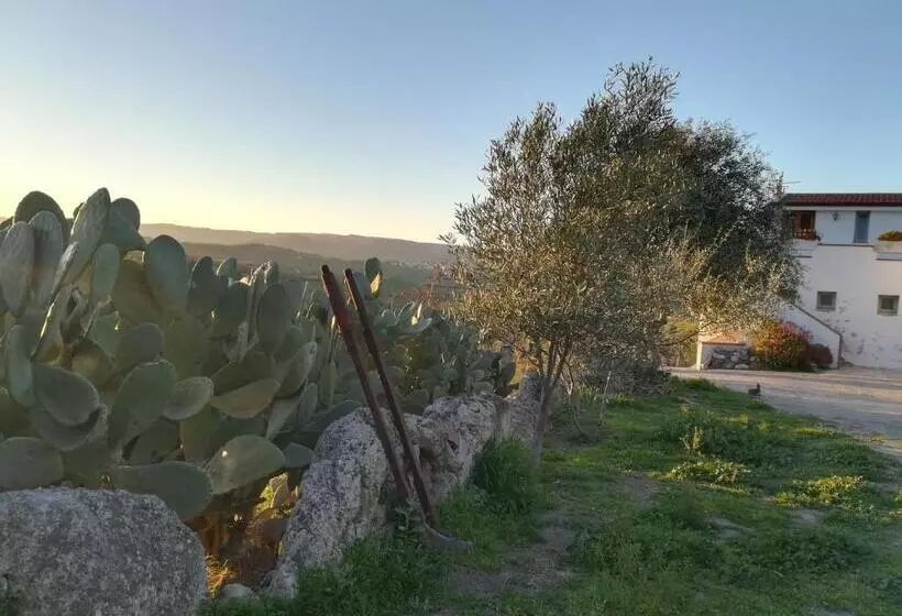 Bed And Breakfast Sas Damas