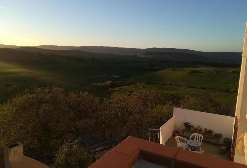 Bed And Breakfast Sas Damas