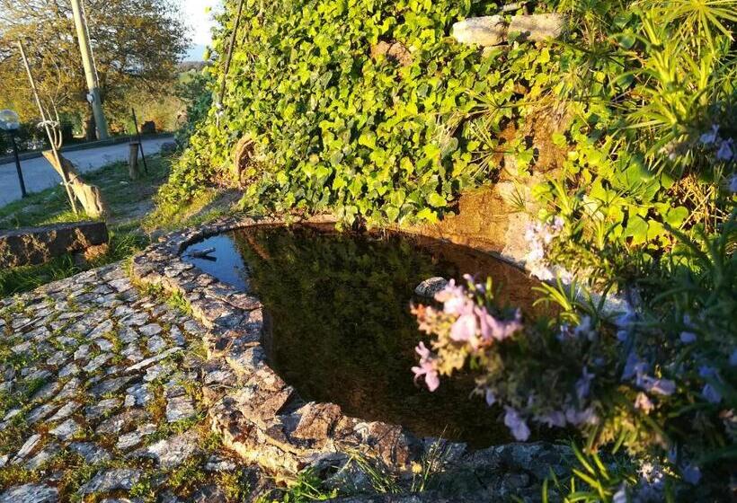 Bed And Breakfast Sas Damas