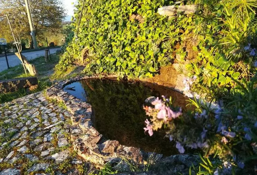 Bed And Breakfast Sas Damas