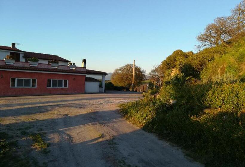 Bed And Breakfast Sas Damas