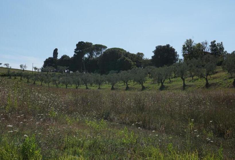 בית מלון כפרי Agriturismo Cheloni