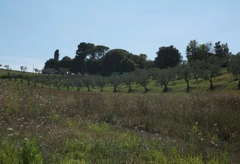 ホテル Agriturismo Cheloni