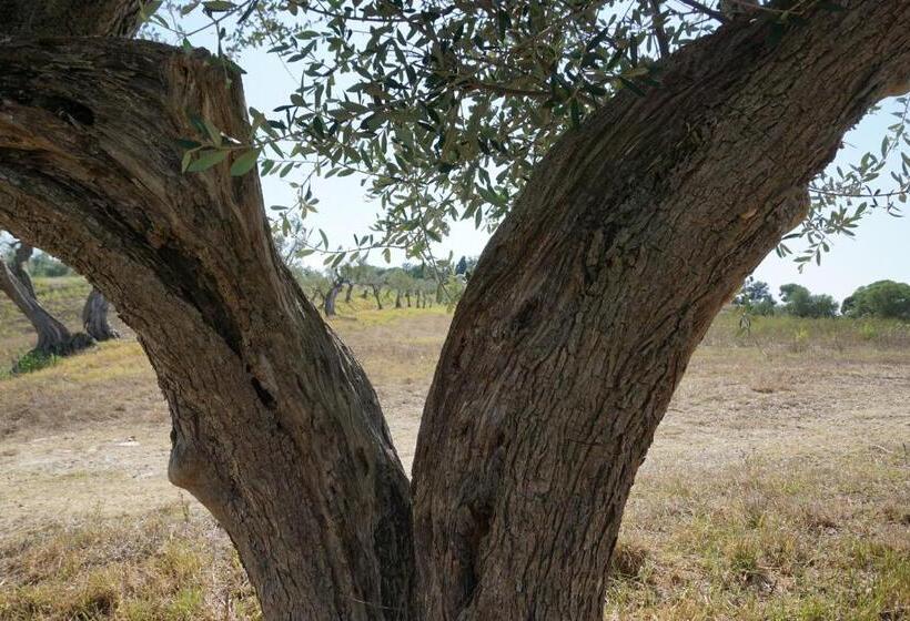 בית מלון כפרי Agriturismo Cheloni