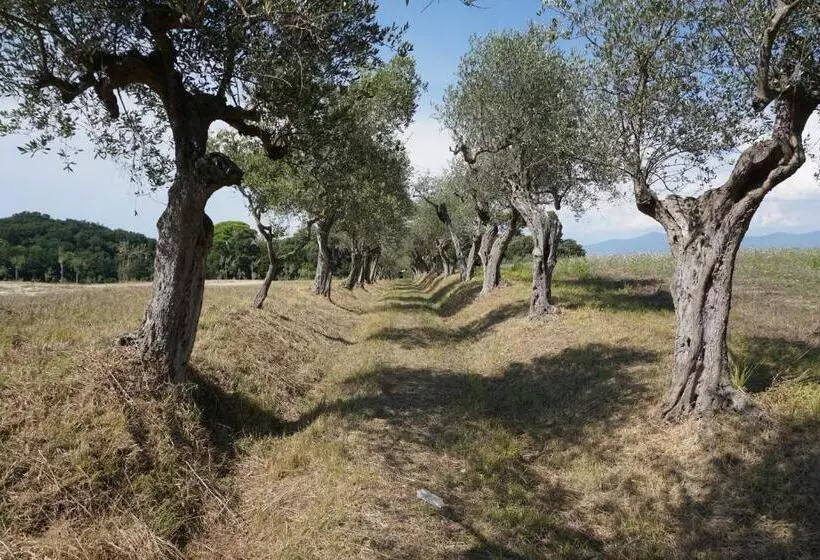 ホテル Agriturismo Cheloni