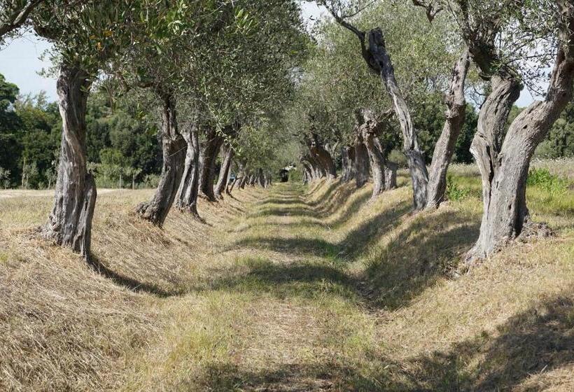 בית מלון כפרי Agriturismo Cheloni