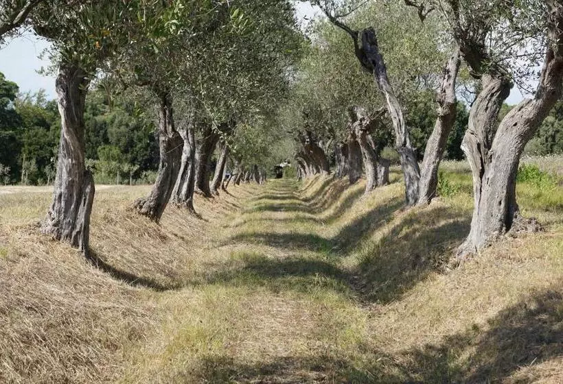 ホテル Agriturismo Cheloni