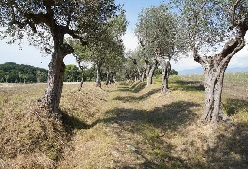 ホテル Agriturismo Cheloni