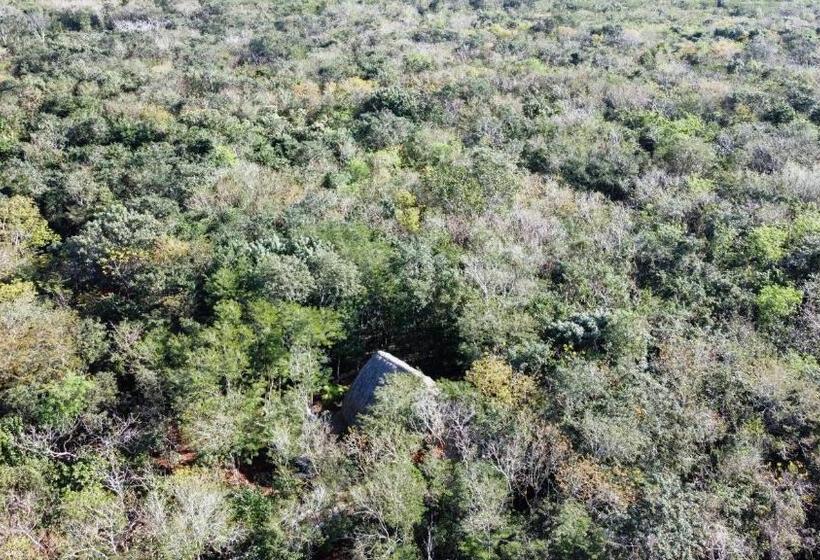 호텔 Cenote Secreto Maya