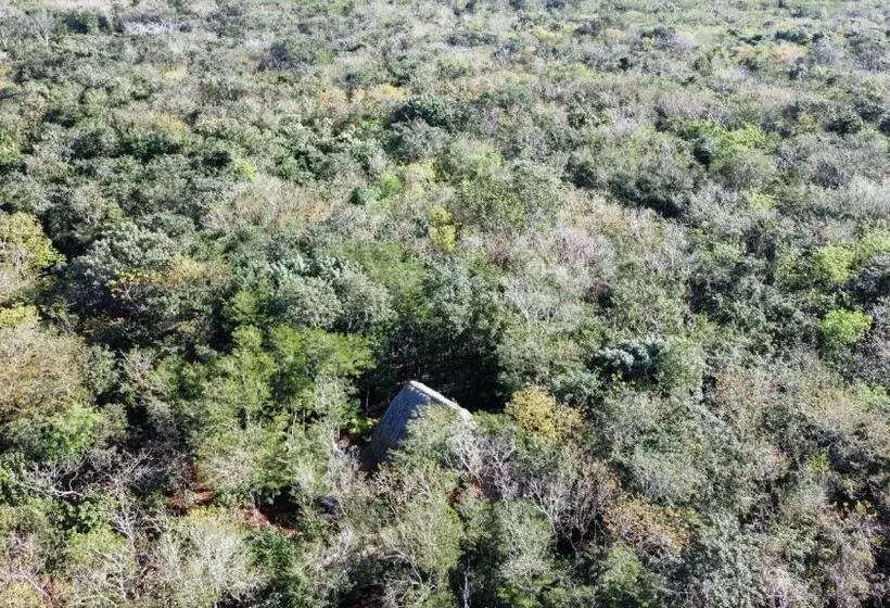 Hotelli Cenote Secreto Maya