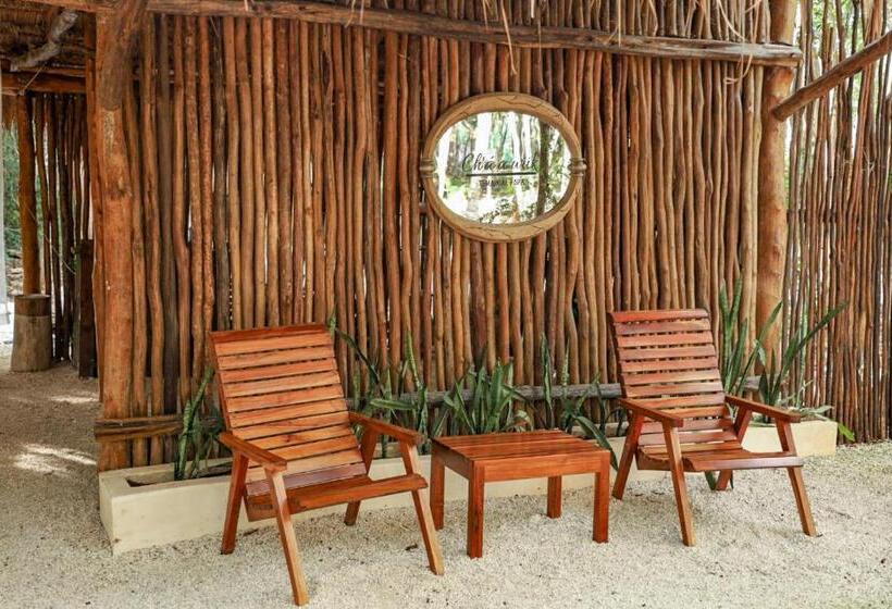 호텔 Cenote Secreto Maya